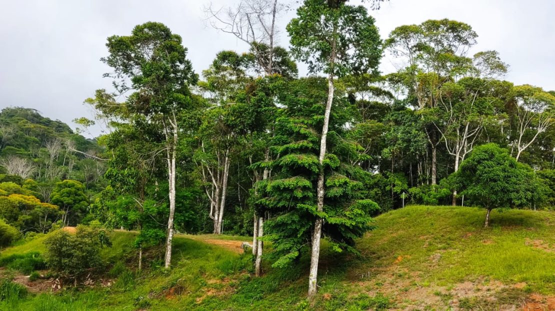 Pérez Zeledón For Sale 31305 | RE/MAX Costa Rica Real Estate