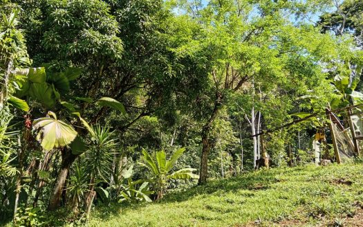 La Ceiba Tico House, Platanillo.