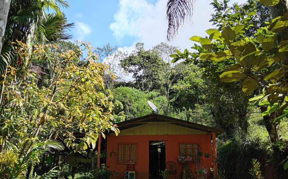 Pérez Zeledón For Sale 31312 | RE/MAX Costa Rica Real Estate