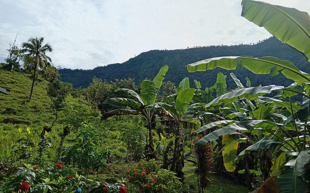 Pérez Zeledón For Sale 31347 | RE/MAX Costa Rica Real Estate