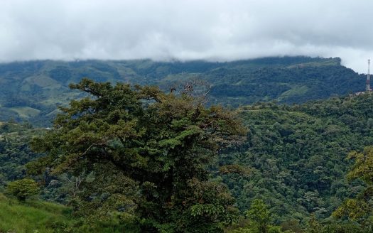 Quetzal Property Alto De San Juan.