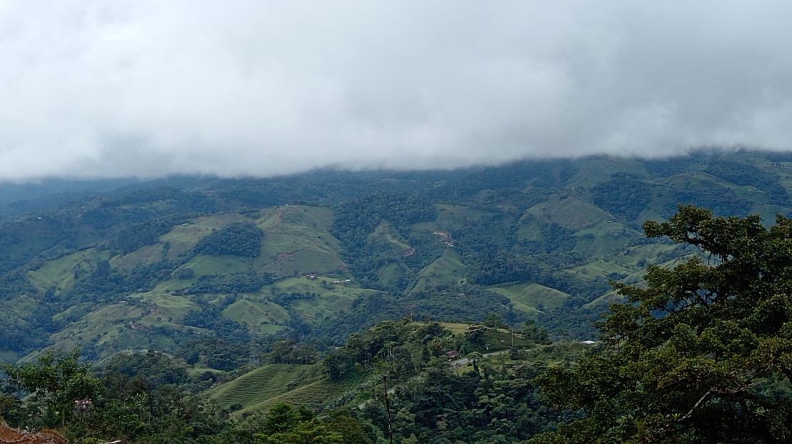 Pérez Zeledón For Sale 31453 | RE/MAX Costa Rica Real Estate