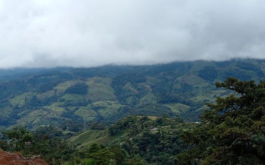 Pérez Zeledón For Sale 31453 | RE/MAX Costa Rica Real Estate