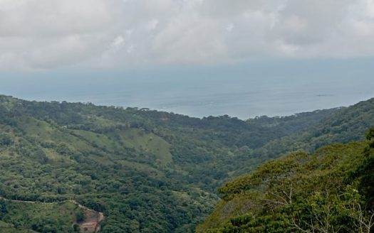 Prado Rain Forest Land.
