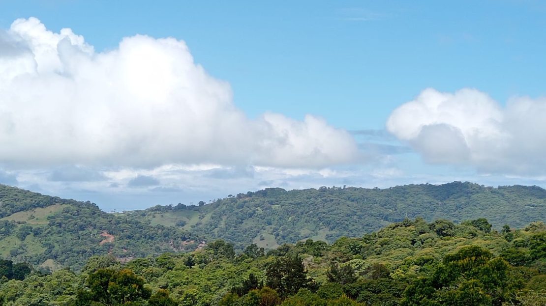 Pérez Zeledón For Sale 31458 | RE/MAX Costa Rica Real Estate