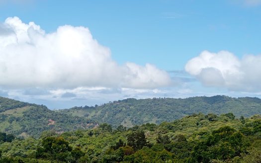 Pérez Zeledón For Sale 31458 | RE/MAX Costa Rica Real Estate