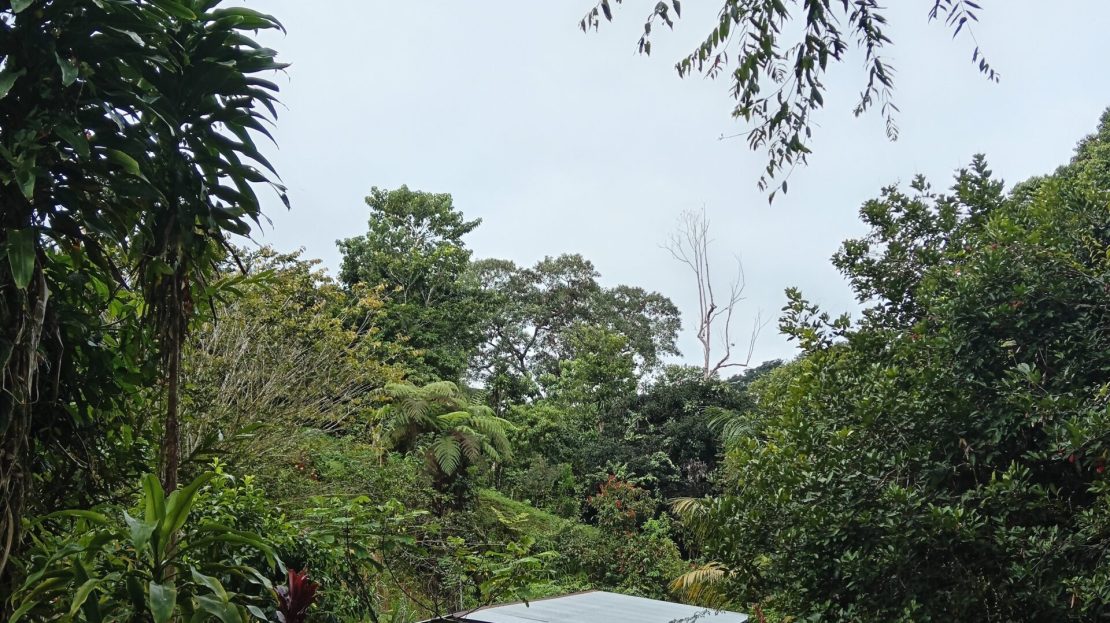 Pérez Zeledón For Sale 31470 | RE/MAX Costa Rica Real Estate