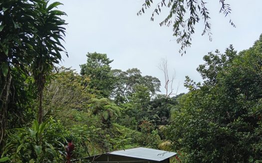 Pérez Zeledón For Sale 31470 | RE/MAX Costa Rica Real Estate