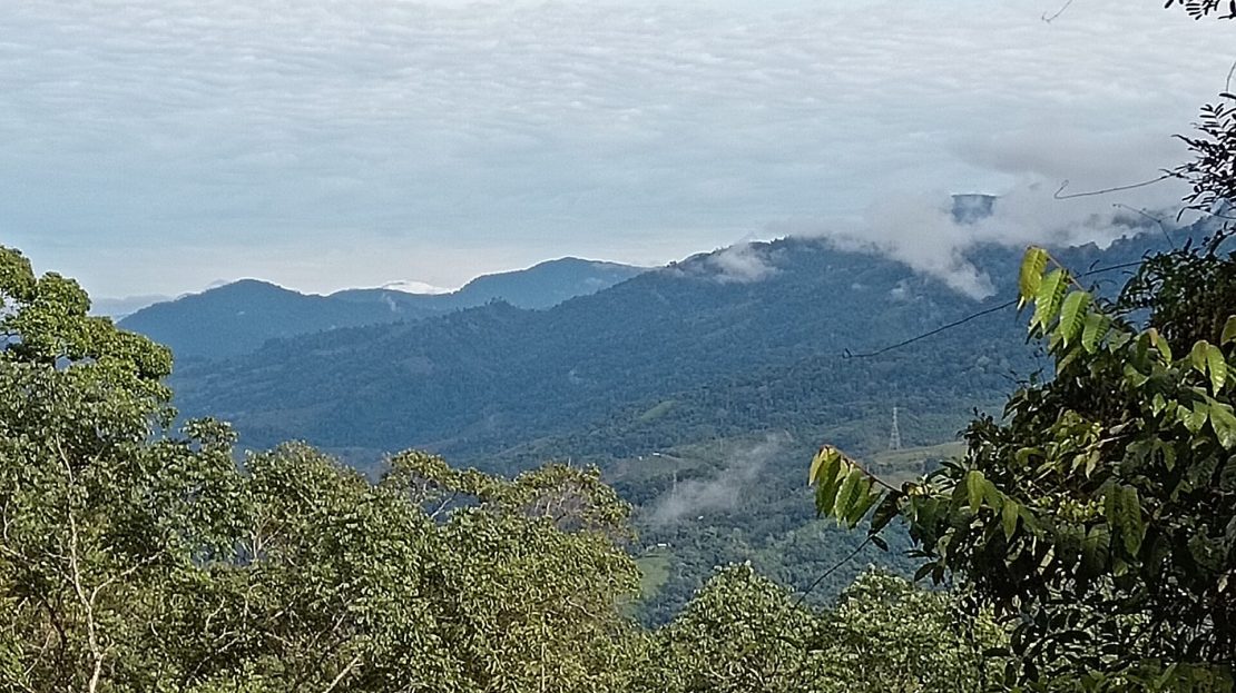 Pérez Zeledón For Sale 31476 | RE/MAX Costa Rica Real Estate