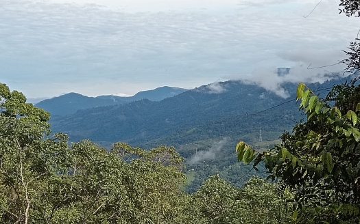 Pérez Zeledón For Sale 31476 | RE/MAX Costa Rica Real Estate