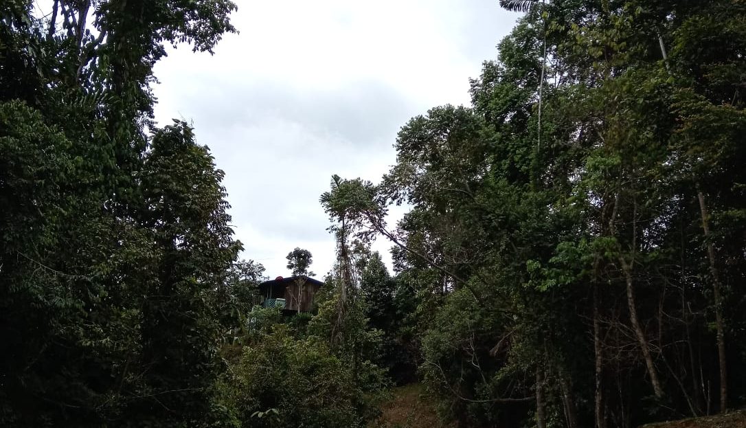 Pérez Zeledón For Sale 31502 | RE/MAX Costa Rica Real Estate