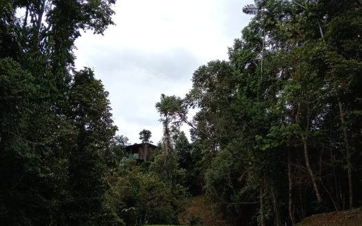 Pérez Zeledón For Sale 31502 | RE/MAX Costa Rica Real Estate