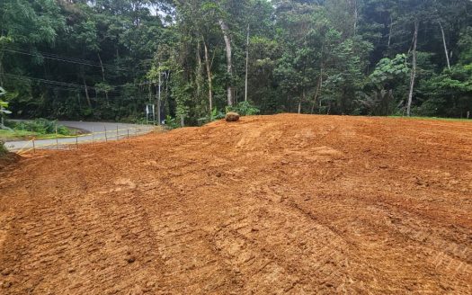 Comercial Lot Platanillo.