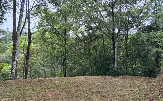 Pérez Zeledón For Sale 31531 | RE/MAX Costa Rica Real Estate