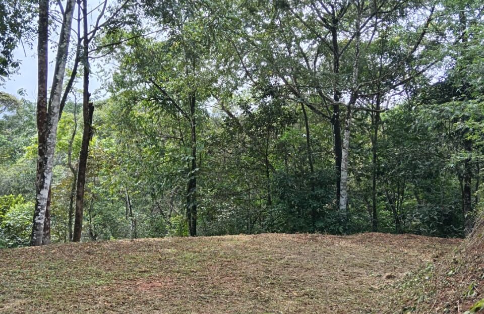 Pérez Zeledón For Sale 31531 | RE/MAX Costa Rica Real Estate