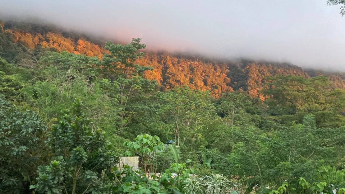 Pérez Zeledón For Sale 31558 | RE/MAX Costa Rica Real Estate