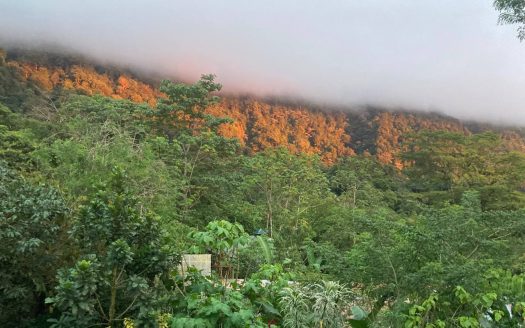 Pérez Zeledón For Sale 31558 | RE/MAX Costa Rica Real Estate