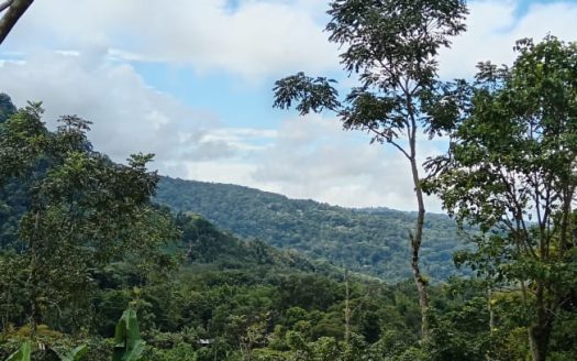 Pérez Zeledón For Sale 31836 | RE/MAX Costa Rica Real Estate