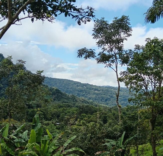 Pérez Zeledón For Sale 31836 | RE/MAX Costa Rica Real Estate