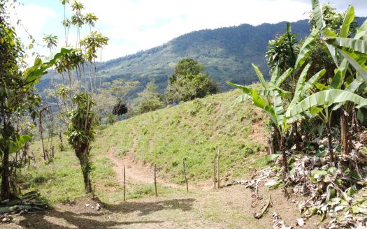 Pérez Zeledón For Sale 33086 | RE/MAX Costa Rica Real Estate