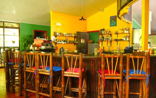 Pérez Zeledón For Sale 33171 | RE/MAX Costa Rica Real Estate