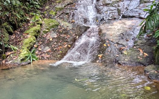 Fuente Verde, Amazing Property Diamond Valley Tinamastes.