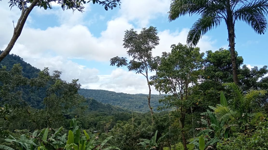 Pérez Zeledón For Sale 33380 | RE/MAX Costa Rica Real Estate