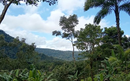 Pérez Zeledón For Sale 33380 | RE/MAX Costa Rica Real Estate