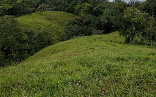 Amazing Land in Calle Camarones, Platanillo.