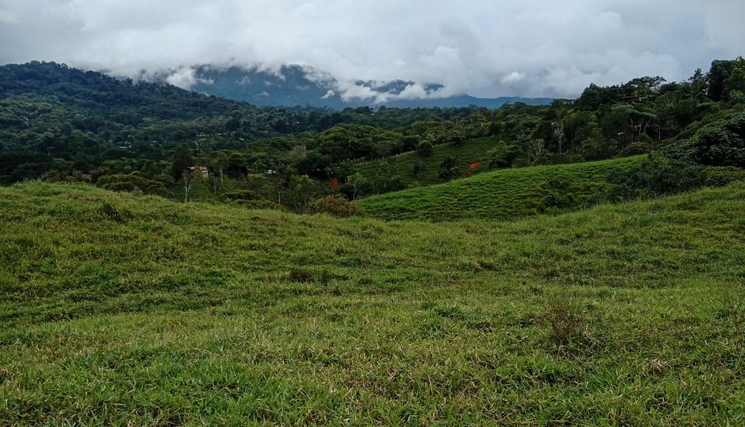 Pérez Zeledón For Sale 33408 | RE/MAX Costa Rica Real Estate