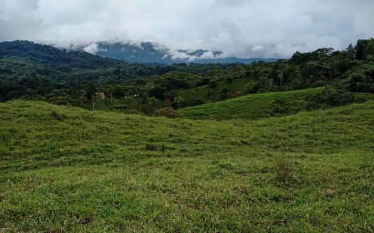 Pérez Zeledón For Sale 33408 | RE/MAX Costa Rica Real Estate