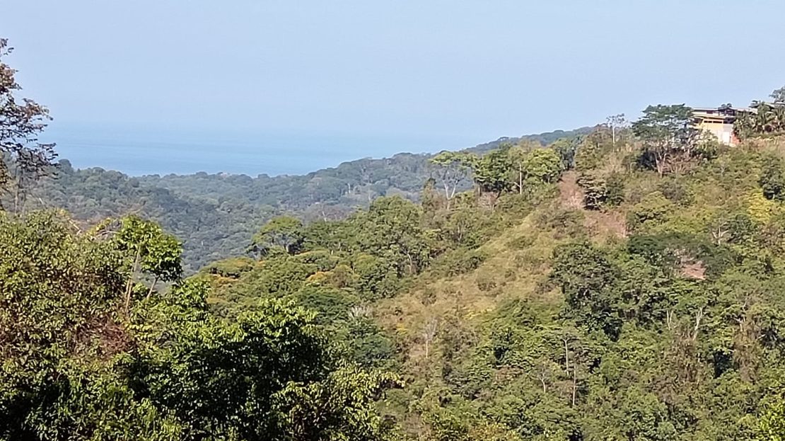 Pérez Zeledón For Sale 33415 | RE/MAX Costa Rica Real Estate