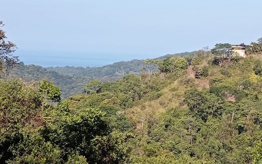 Pérez Zeledón For Sale 33415 | RE/MAX Costa Rica Real Estate