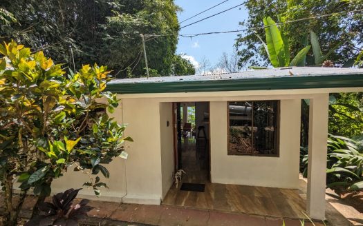 Bamboo Vista Platanillo