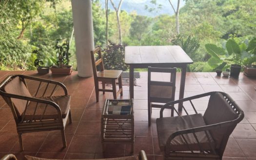 Pérez Zeledón For Sale 33440 | RE/MAX Costa Rica Real Estate