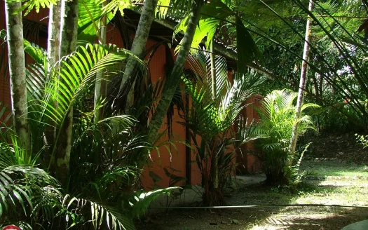 Los Mineros Lodge Costa Rica – Unique Rainforest Property for Sale