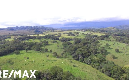 AGRICULTURAL CATTLE FARM