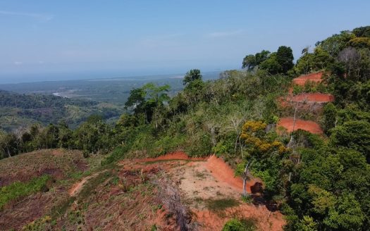 Ocean view paradise farm