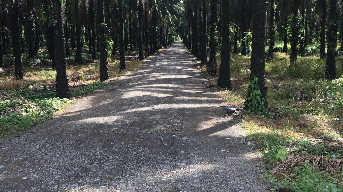 Quepos For Sale 30939 | RE/MAX Costa Rica Real Estate