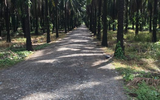 Quepos For Sale 30939 | RE/MAX Costa Rica Real Estate