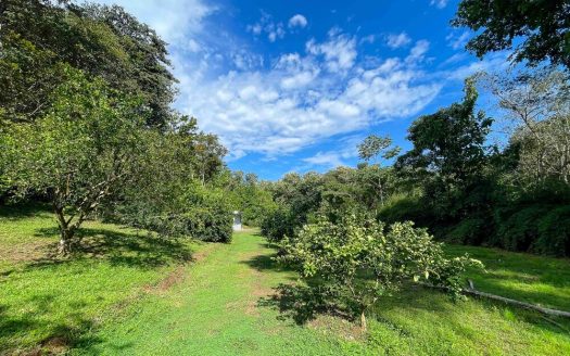 Tropical Paradise Farm in the heart of Quepos