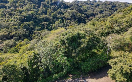 Lot #20 El Salto Manuel Antonio