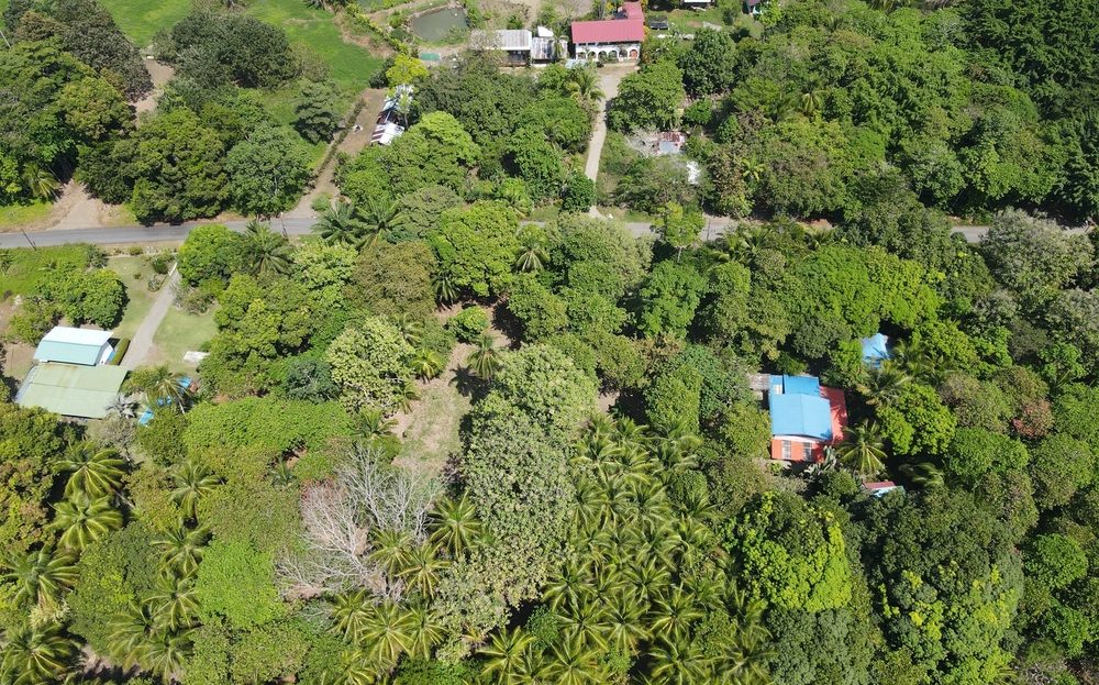 Quepos For Sale 33375 | RE/MAX Costa Rica Real Estate