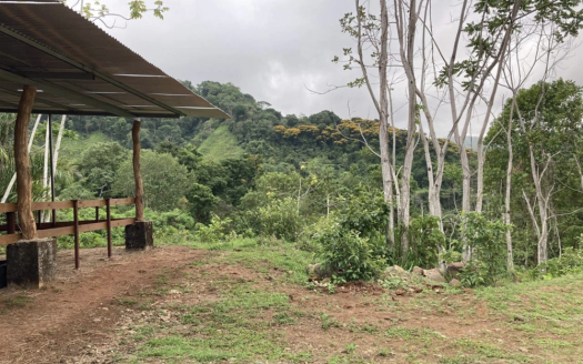 Owner sells! Studio, Horse Coral & One Hectare Mango Orchard