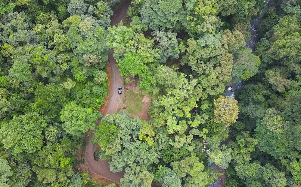 Quepos>Portalon de Quepos For Sale 31390 | RE/MAX Costa Rica Real Estate