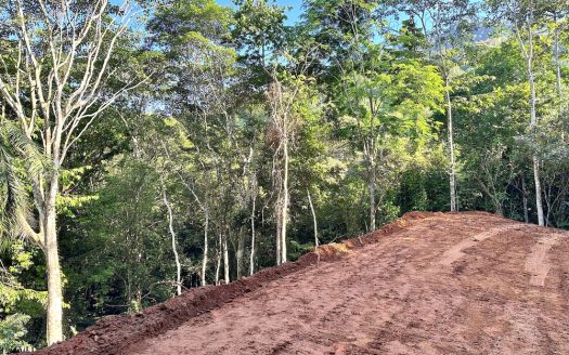 Secluded 1.25-Acre Lot with Creek Frontage in the Heart of Matapalo