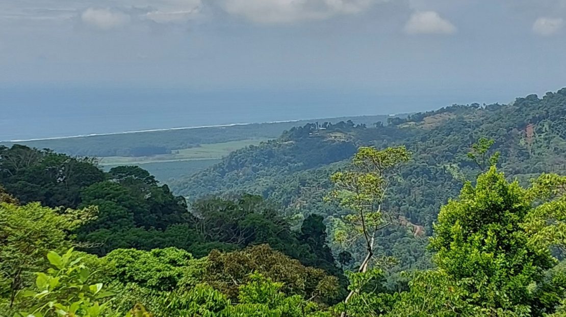 Quepos>Savegre For Sale 29878 | RE/MAX Costa Rica Real Estate