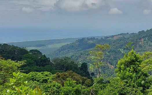 Quepos>Savegre For Sale 29878 | RE/MAX Costa Rica Real Estate