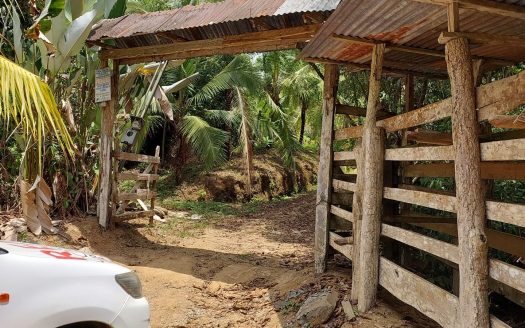 Tropical country paradise