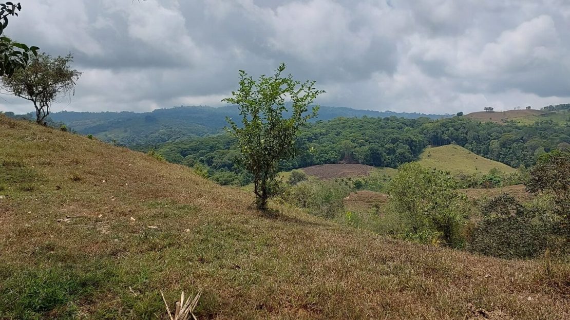 Quepos>Savegre For Sale 29941 | RE/MAX Costa Rica Real Estate